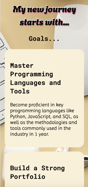 Portlolio Website version 1 image